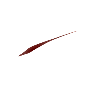 3600523959853_LOreal_Super_Liner_Perfect_Slim_03_Brown_eyeliner